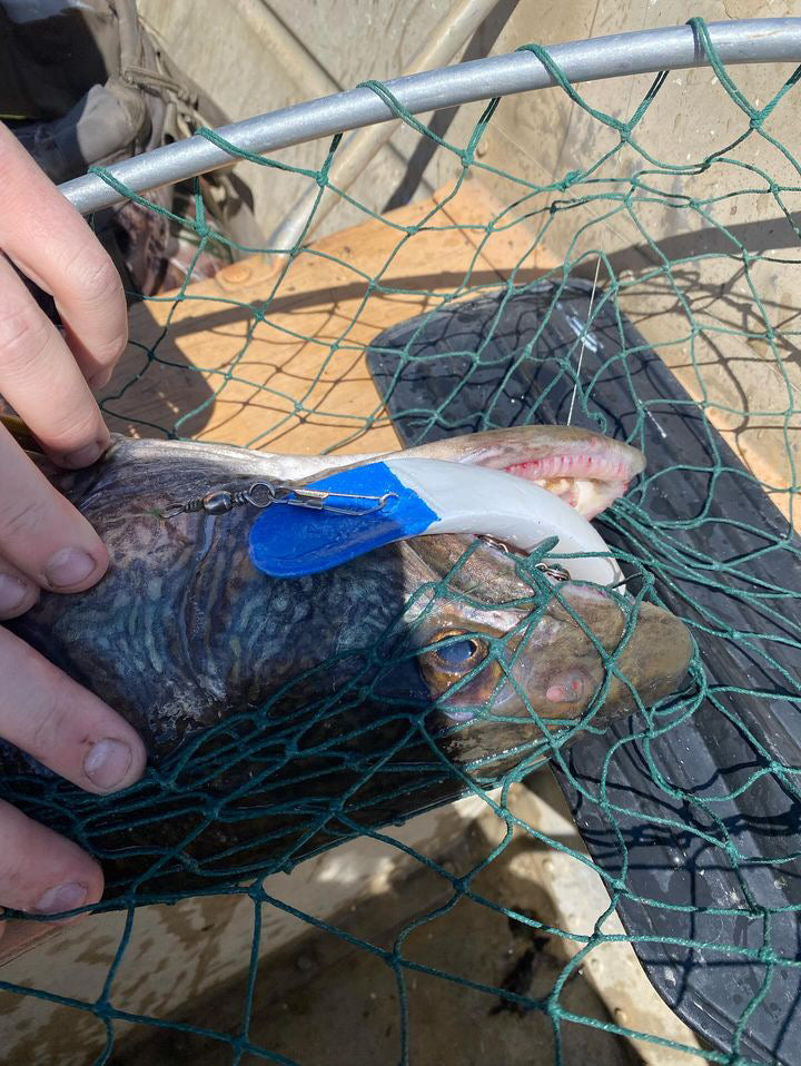 Diving Rattler Deep Diver Rattlers – Big Laker Tackle