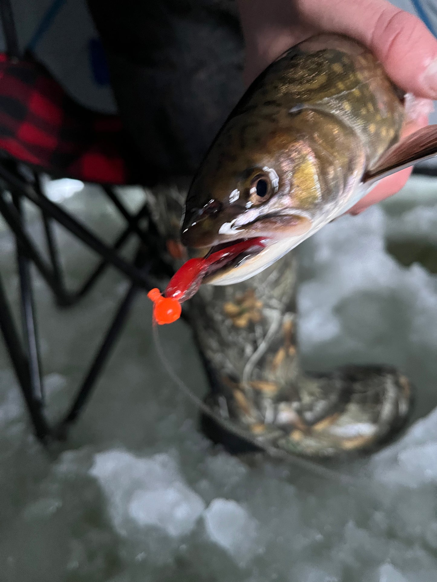 Trout Treats 6for$5